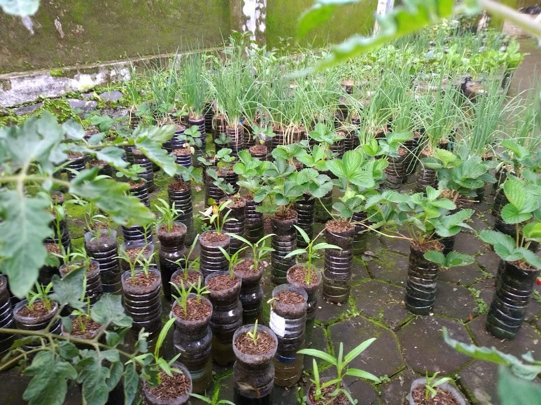 Kebun Botol